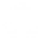 Vimeo icon for footer